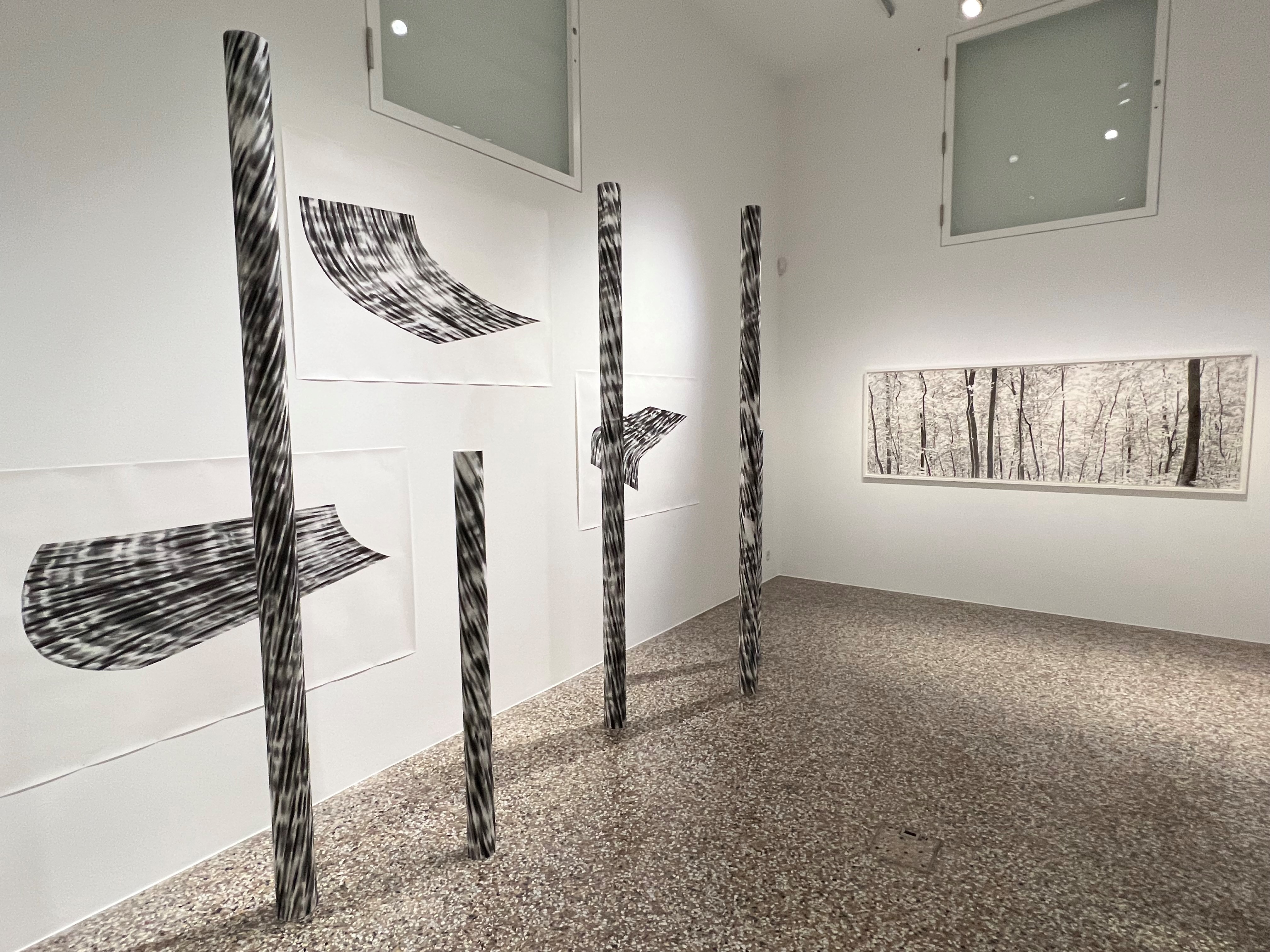 Deux vastes expositions automnales au Musée Jenisch de vevey